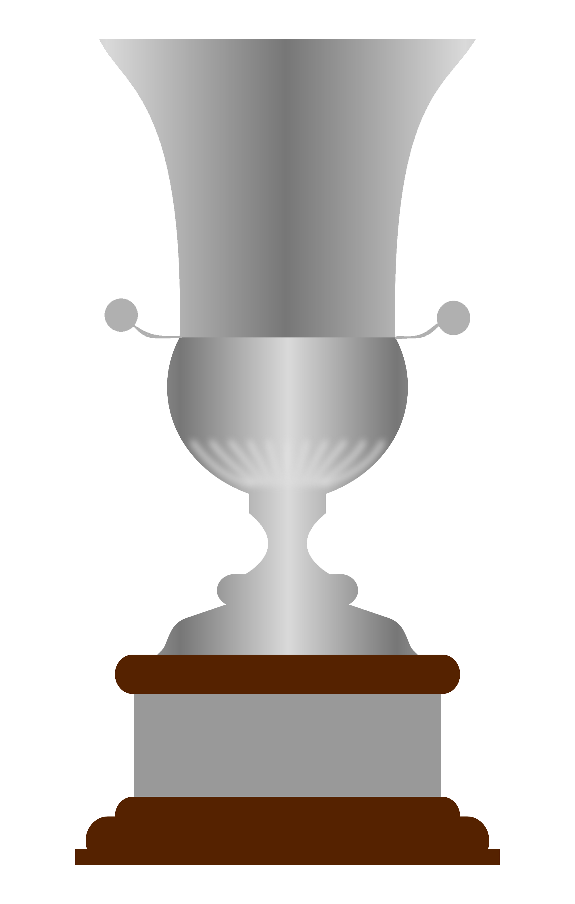 La Supercoppa Italiana è una competizione di alto livello!