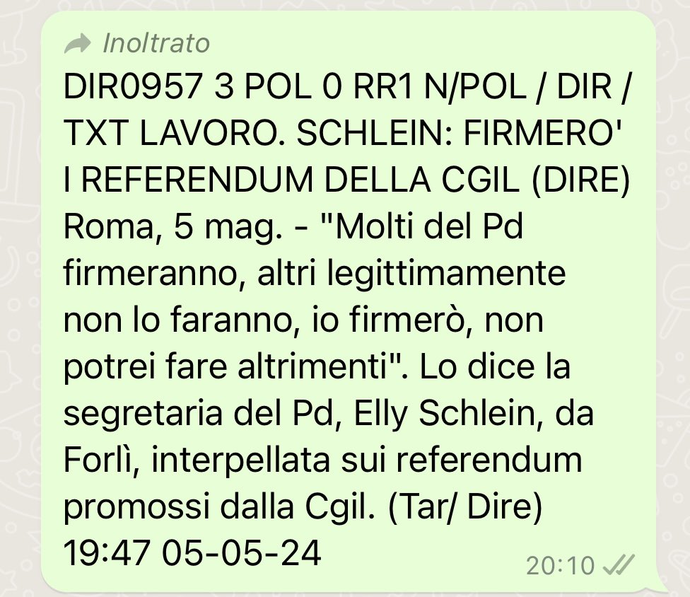 Elly Schlein si schiera contro il Jobs Act e divide il Pd: ecco cosa succederà